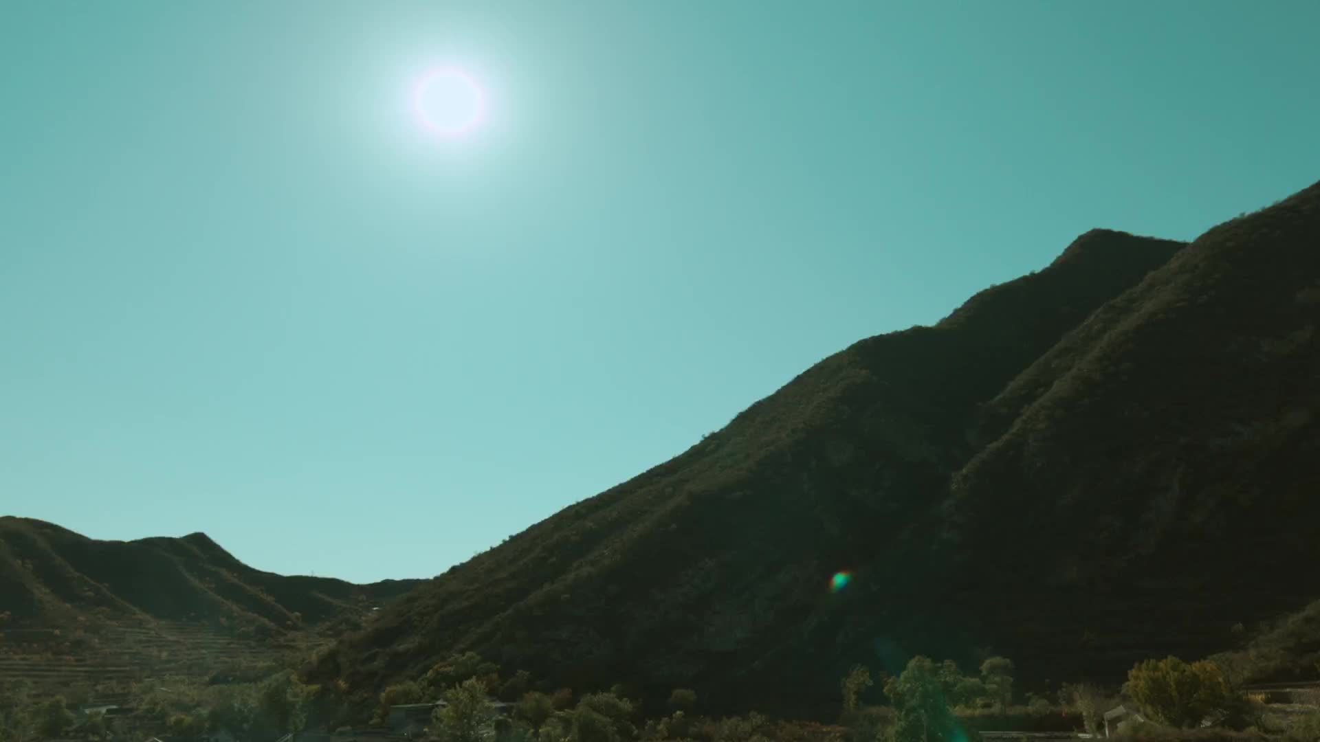 千禾-病毒视频